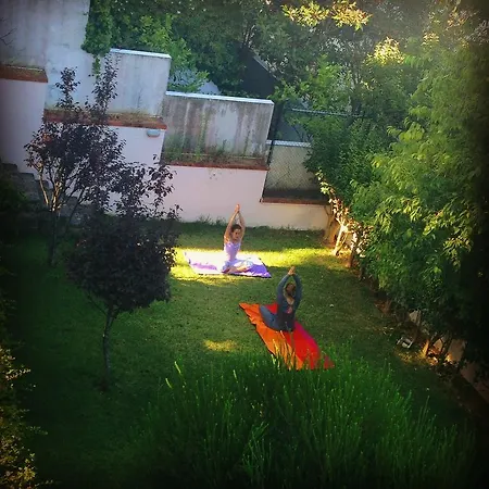 House Albergue *