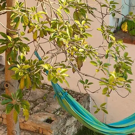 House Hostel *